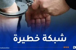 SCLTIS تشل نشاط شبكة إجرامية وتضبط 628 ألف كبسولة بريغابالين