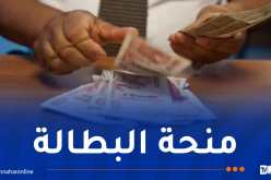 منحة البطالة.. هذا ما قاله وزير العمل