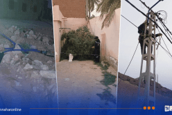 التقلبات الجوية: سقوط أشجار وأعمدة إنارة بغرداية