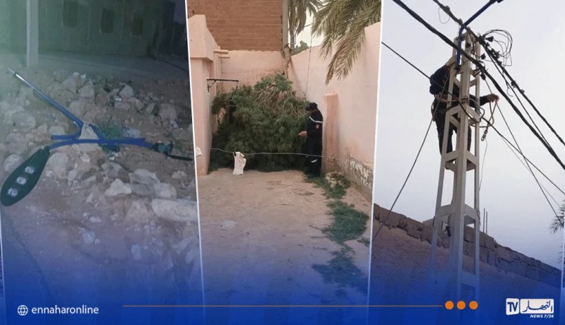 التقلبات الجوية: سقوط أشجار وأعمدة إنارة بغرداية