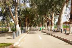 ولاية الجزائر تعلن تمديد غلق الفضاءات الغابية والمنتزهات بسبب التقلبات الجوية