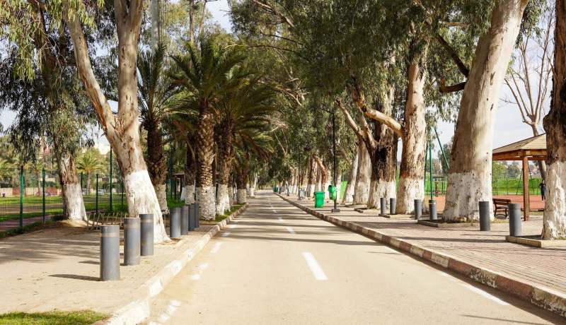 ولاية الجزائر تعلن تمديد غلق الفضاءات الغابية والمنتزهات بسبب التقلبات الجوية