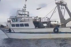 تعليق رخصة الصيد لسفينة لهذا السبب 