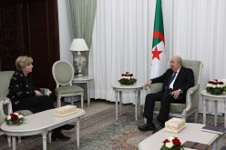 السفيرة الأمريكية بالجزائر تنشر رسالة وداع عقب انتهاء مهامها 