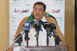 فاتح بوطبيق: الاستثمار في الجنوب ركيزة للسيادة والتنمية الوطنية