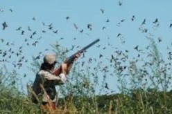 بيان هام بخصوص موسم الصيد 