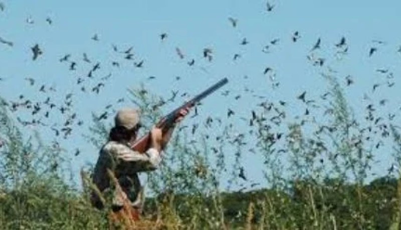 بيان هام بخصوص موسم الصيد 