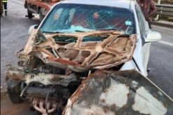 4 ضحايا إثر اصطدام تسلسلي بين 4 سيارات في المدية