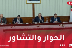 ندوة مناقشة التعديل التقني للدستور.. تكريس دولة القانون والمؤسسات