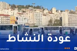 نقابات النقل تؤكد استئناف النشاط رسميًا بعد إستجابة السلطات لمطالبهم