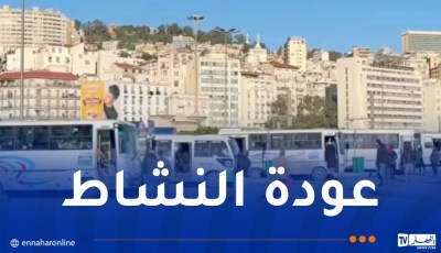 نقابات النقل تؤكد استئناف النشاط رسميًا بعد إستجابة السلطات لمطالبهم