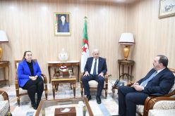 بوغالي يستقبل نائب في الجمعية الوطنية الفرنسية