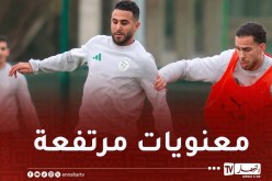 بالصور.. الخضر يشرعون في التحضيرات الجدّية لمواجهة الكونغو الديمقراطية