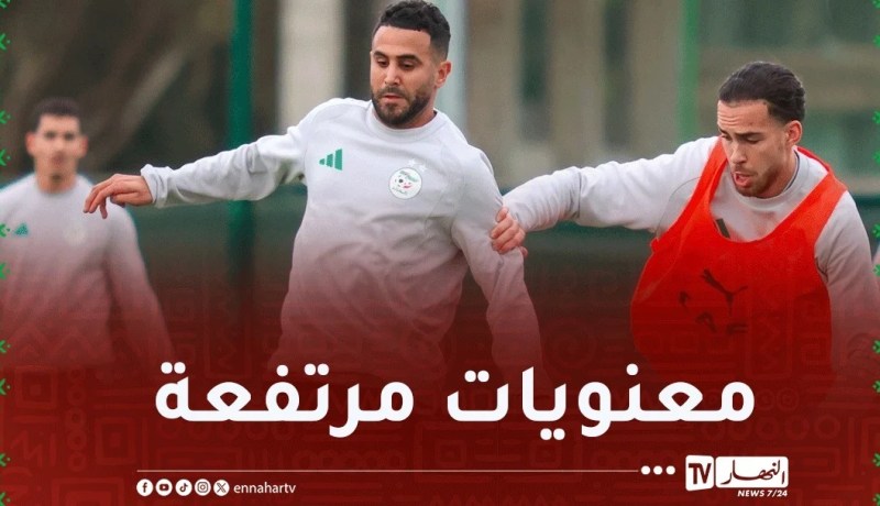 بالصور.. الخضر يشرعون في التحضير لمواجهة الكونغو الديمقراطية