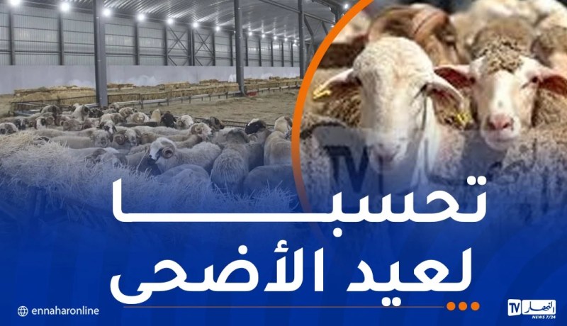 رئيس الجمهورية يأمر باستيراد مليون رأس غنم