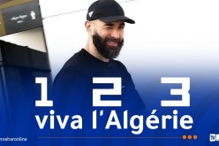 بالفيديو.. بن زيمة يبدي دعمه للمنتخب الجزائري