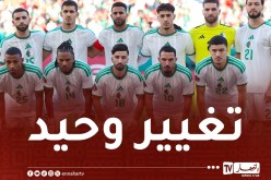 زروقي يعوض بن ناصر في لقاء نيجيريا