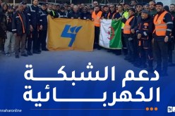 سونلغاز: إطلاق عملية استباقية لصيانة شبكة الكهرباء بالولايات الجنوبية