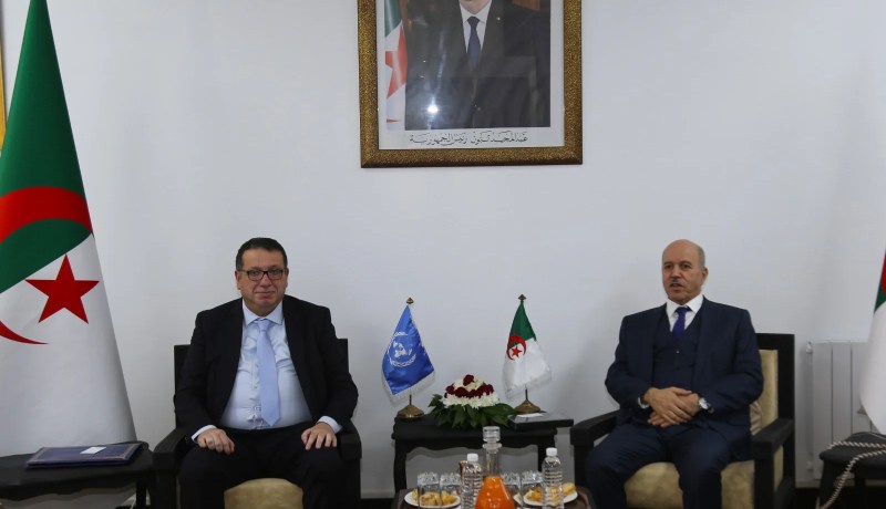 الجزائر ومنظمة العمل الدولية تبحثان تطوير سياسات العمل والحماية الاجتماعية