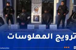 تيبازة.. توقيف شخصين وحجز 11 ألف كبسولة من المؤثرات العقلية