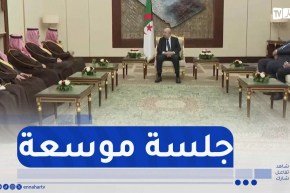 رئيس الجمهورية في جلسة موسعة مع وزير داخلية المملكة العربية السعودية