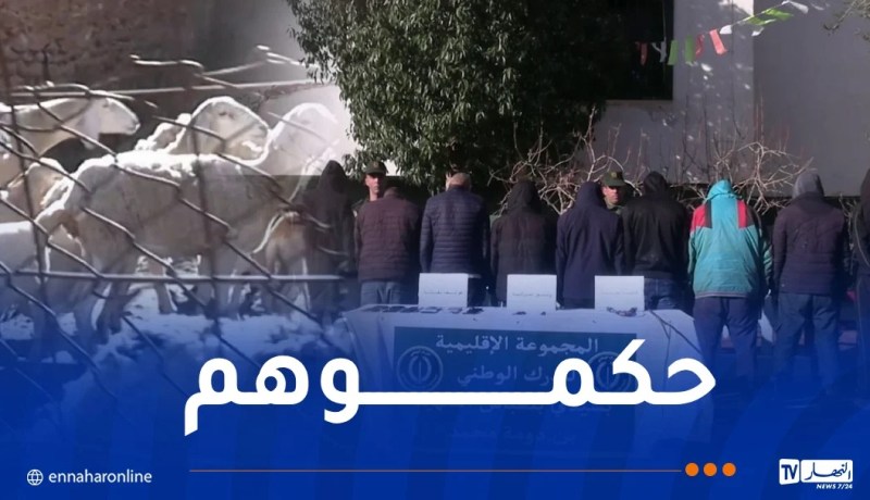 سيدي بلعباس.. الدرك يوقف عصابة مختصة في سرقة المواشي