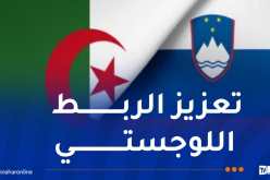 يشمل سلوفينيا.. توسيع الخط البحري الرابط بين الجزائر وكرواتيا