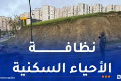 “جاست إيمو” ترفع مخلفات التقلبات الجوية بأحياء “عدل”