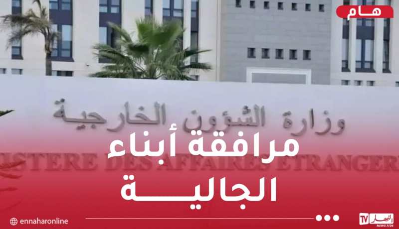 وزارة الخارجية تصدر بيانا هاما للمواطنين المتواجدين بالخارج في وضعية غير قانونية