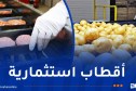 إطلاق قطب متخصص في الصناعات التحويلية الغذائية بعين الدفلى