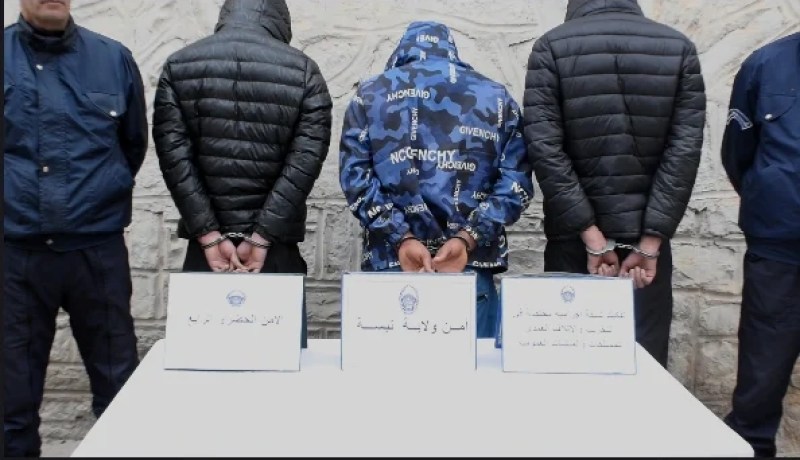 تبسة.. تفكيك شبكة إجرامية مختصة في التخريب والإتلاف العمدي للممتلكات والمنشآت العمومية