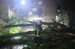 وهران.. رياح قوية تستنفر الحماية المدنية وتسجيل عشرات التدخلات