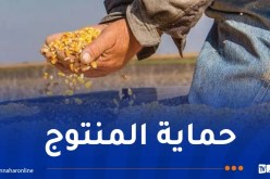 وزارة الفلاحة: تزويد ولاية أدرار بستة مجففات للذرة وفتح 3 مراكز جوارية للتخزين