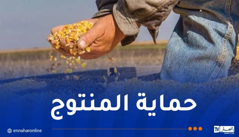 وزارة الفلاحة: تزويد ولاية أدرار بستة مجففات للذرة وفتح 3 مراكز جوارية للتخزين
