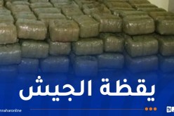 إسترجاع 447 كلغ من الكيف المعالج في عمليات متفرقة ببشار