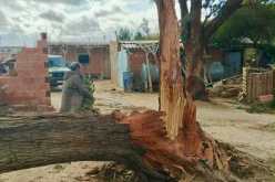 محافظة الغابات بالشلف: 35 تدخلا خلال 24 ساعة بسبب التقلبات الجوية