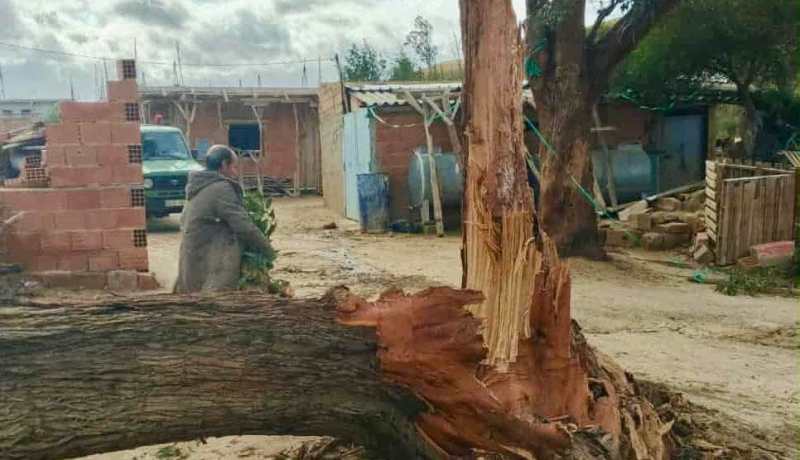 محافظة الغابات بالشلف: 35 تدخلا خلال 24 ساعة بسبب التقلبات الجوية