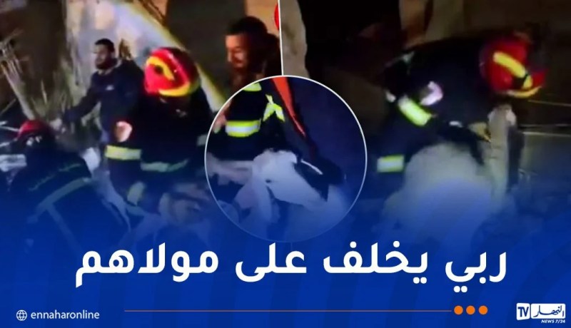 المدية.. نفوق 37 رأس غنم في انهيار إسطبل بالسواقي