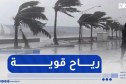 إستمرار هبوب رياح قوية على هذه المناطق .. التفاصيل