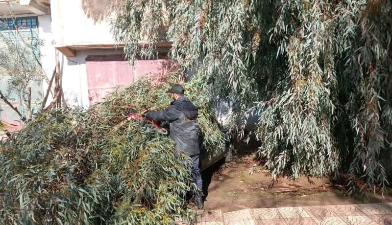تيسمسيلت.. تدخلات ميدانية لمحافظة الغابات بعد التقلبات الجوية