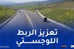 سي شعيب: إنجاز سبعة منافذ كبرى على مستوى عدة موانئ بطول 345 كيلومترًا