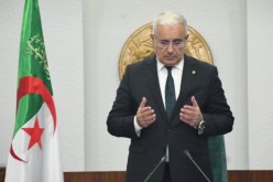 بوغالي يعزي في وفاة المجاهد والمؤرخ محمد حربي