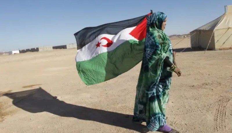 منع وطرد وفد حقوقي إسباني من دخول العيون المحتلة يثير استنكار لجنة تقرير مصير الصحراء الغربية