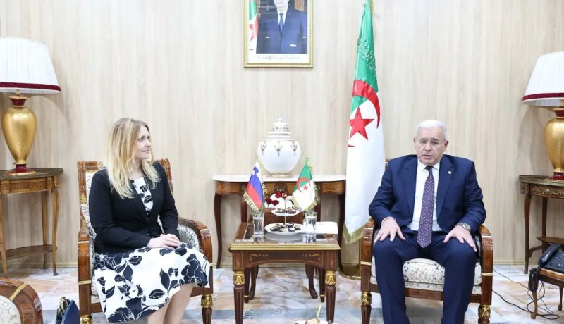 بوغالي يستقبل سفيرة سلوفينيا