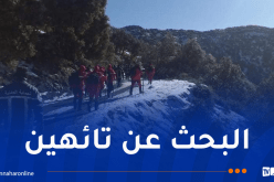 البليدة.. البحث عن 3 شباب تائهين بمنطقة الضاية