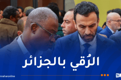 نور الدين واضح: ترقية جيل جديد من رواد الأعمال