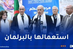 بوغالي يُؤكد دعمه لترقية اللغة الأمازيغية