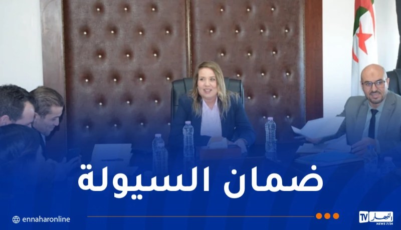 إطلاق مشروع إعادة هيكلة بريد الجزائر