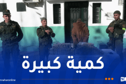 درك مغنية يحجز أزيد من 43 كغ من الكيف المعالج