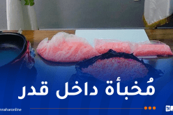 إحباط تهريب قرابة 4,5 كلغ من الإكستازي بميناء بجاية